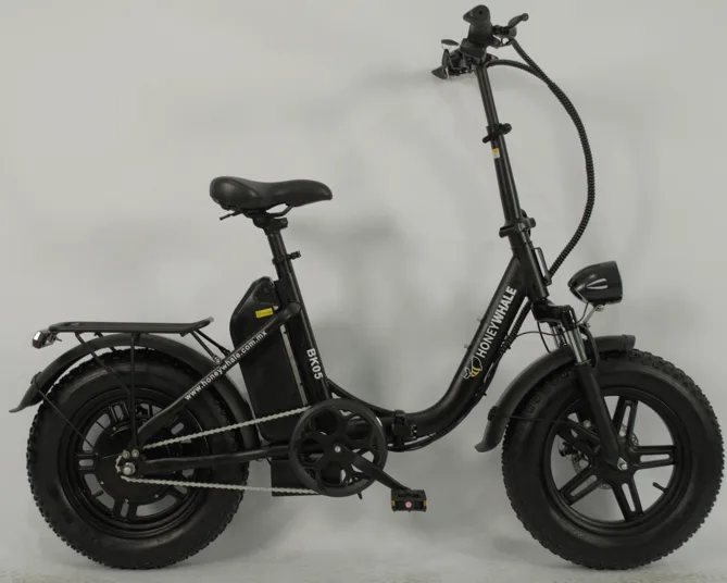 Bicicleta Eléctrica BK05