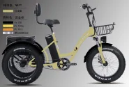 Bicicleta Eléctrica S13