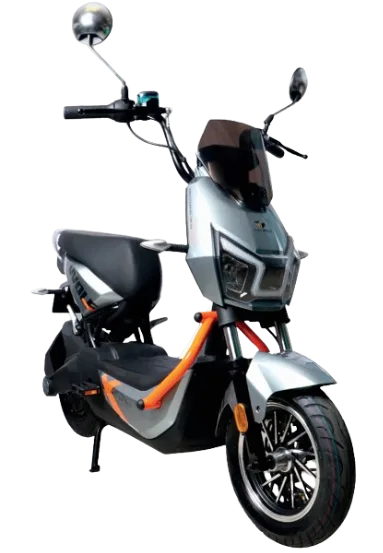 Motobici Eléctrica ZL-WOLF
